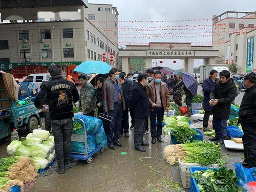 春節(jié)期間食用農(nóng)產(chǎn)品質(zhì)量安全專項(xiàng)執(zhí)法行動全面展開，筑牢群眾“菜籃子”安全防線