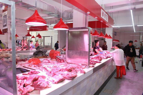 白城市節(jié)日市場生活必需品供應(yīng)充足平穩(wěn) 食用農(nóng)產(chǎn)品批發(fā)市場運(yùn)行良好